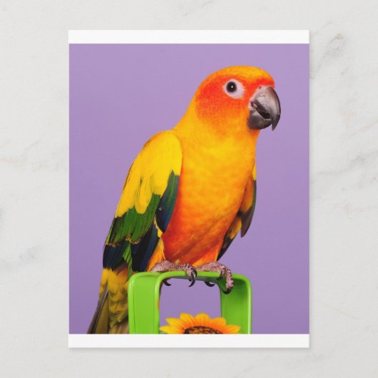 Hallo da postkarte (Vorderseite)