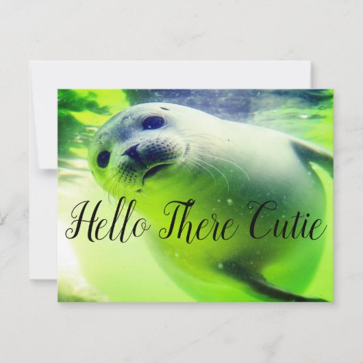 Hallo Da Süsse (Vorderseite)