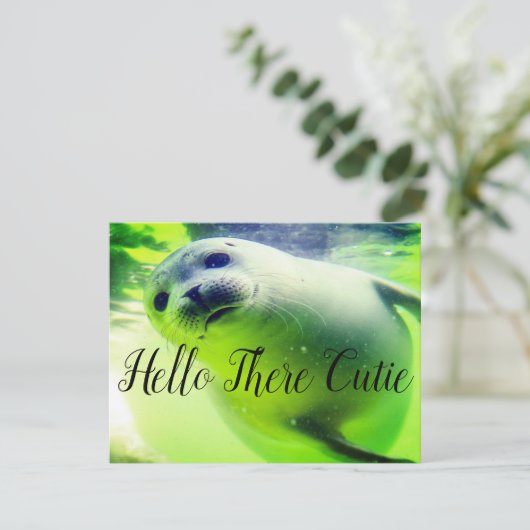 Hallo Da Süsse (Stehend Vorderseite)