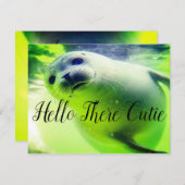 Hallo Da Süsse (Vorne/Hinten)