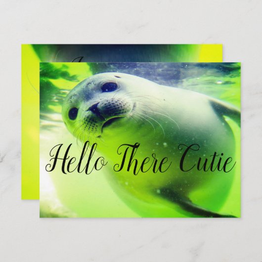 Hallo Da Süsse (Vorne/Hinten)