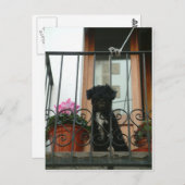 Hallo da unten Postkarte (Vorne/Hinten)