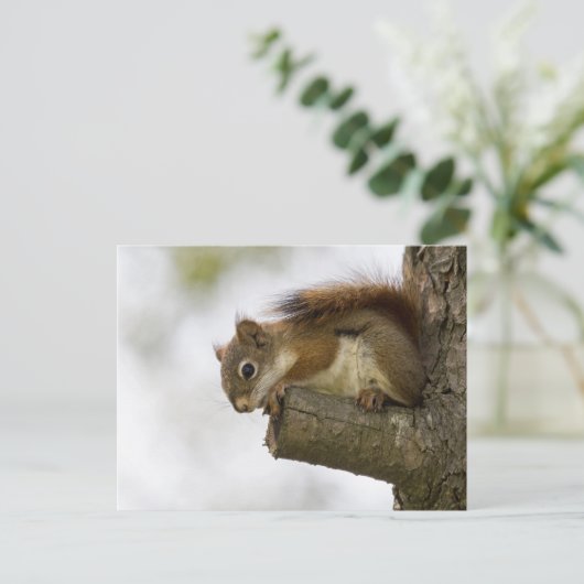 Hallo da unten postkarte (Stehend Vorderseite)