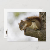 Hallo da unten postkarte (Vorne/Hinten)