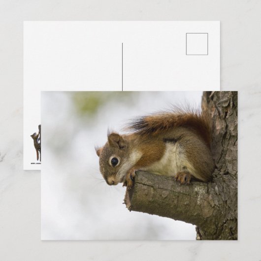 Hallo da unten postkarte (Vorne/Hinten)