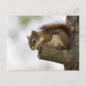 Hallo da unten postkarte (Vorderseite)