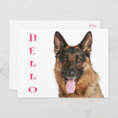 Hallo Deutsche Schäferhund Welpe Dog Blank Post Ca Postkarte (Vorne/Hinten)