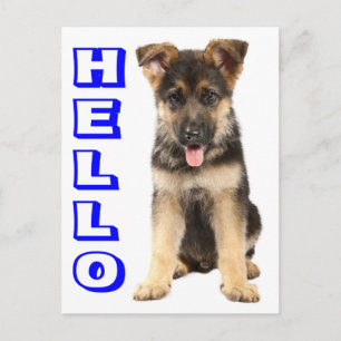 Hallo Deutsche Schäferhund-Welpe-Hund Leere Postka Postkarte