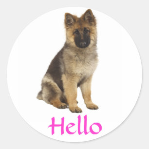Hallo Deutsche Schäferhund-Welpen-Hunde-Gruß-Aufkl Runder Aufkleber