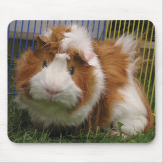 Hallo dort! (das Mousepad) Mousepad