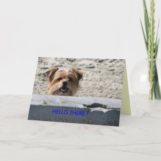 HALLO DORT! KARTE (Vorderseite)