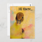 Hallo dort Muscovy Duckling Postkarte (Vorne/Hinten)