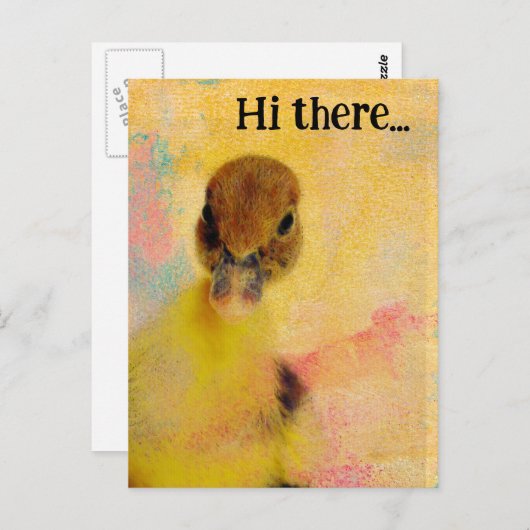 Hallo dort Muscovy Duckling Postkarte (Vorne/Hinten)