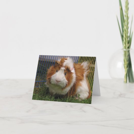 Hallo dort! (Spaßvogel) Karte (Vorderseite)