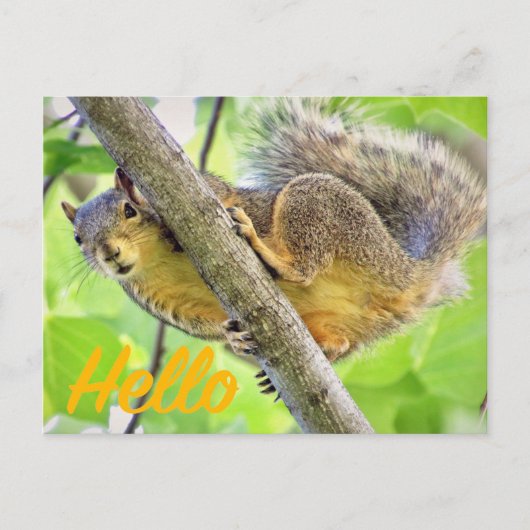 Hallo, einfach nur die Postkarte überprüfen (Vorderseite)