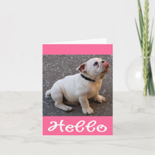 Hallo Englisch Bulldogge Welpe Hund Leere Karte