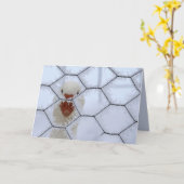 Hallo ! Ente hinter dem mattierten Zaun säkulare W Karte (Gelbe Blume)