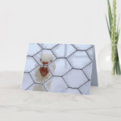 Hallo ! Ente hinter dem mattierten Zaun säkulare W Karte (Vorderseite)