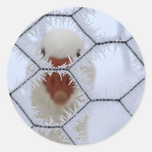 Hallo ! Ente hinter mattiertem Zaun Runder Aufkleber (Vorderseite)