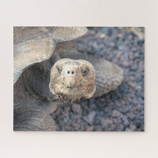 Hallo Es-Riese Tortoise Puzzle (Horizontal)
