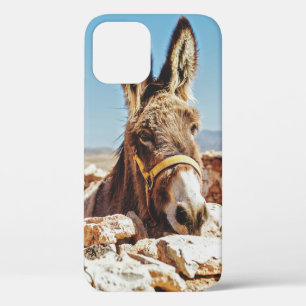 HALLO ESEL Case-Mate iPhone HÜLLE