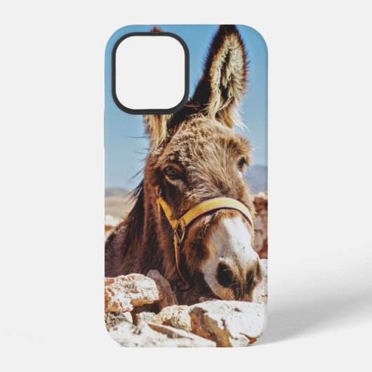 HALLO ESEL iPhone HÜLLE (Rückseite)