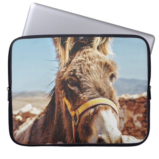 HALLO ESEL LAPTOPSCHUTZHÜLLE (Vorderseite)