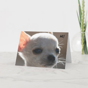 HALLO! FEIERTAGSKARTE