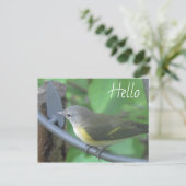 Hallo Foto von niedlichem Warbler Bird Postkarte (Stehend Vorderseite)