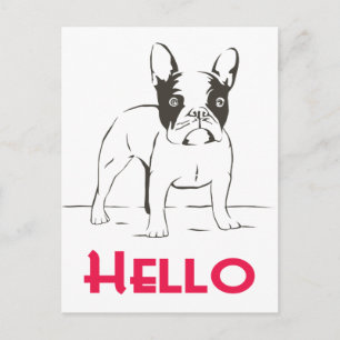 Hallo Französische Bulldogge Welpen Postkarte