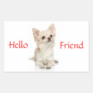 Hallo Freund Langhaar Chihuahua Aufkleber