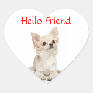 Hallo Freund Langhaar Chihuahua Herz Sticker