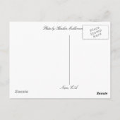 Hallo, From. Napa Valley Postkarte (Rückseite)