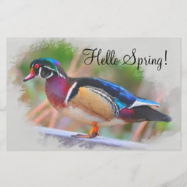 Hallo Frühling! Mit der Holzente! Briefpapier