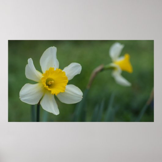 Hallo Frühling! Poster (Vorne)