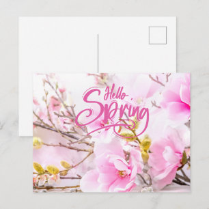 Hallo Frühling Rosa Magnolienblüten Postkarte