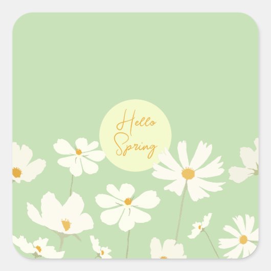 Hallo Frühling, weißer Kosmos Blume Gelbe Mitte Quadratischer Aufkleber (Vorderseite)