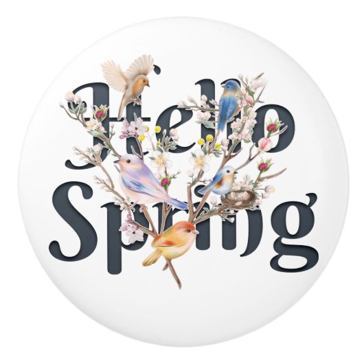 Hallo Frühlingsvögel Keramikknauf (Vorderseite)