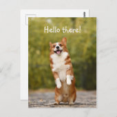 Hallo! / Funny Corgi Postkarte (Vorne/Hinten)