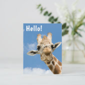 Hallo  | Funny Giraffe Animal Postkarte (Stehend Vorderseite)