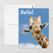 Hallo  | Funny Giraffe Animal Postkarte (Vorne/Hinten)