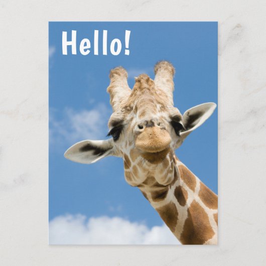 Hallo  | Funny Giraffe Animal Postkarte (Vorderseite)