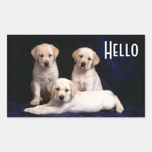 Hallo Gelber Labrador Retriever Welpe Hund Aufkleb Rechteckiger Aufkleber
