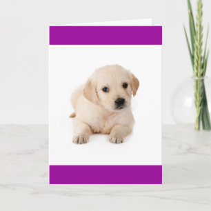 Hallo Golden Retriever Welpen-Hund-Grußkarte Karte