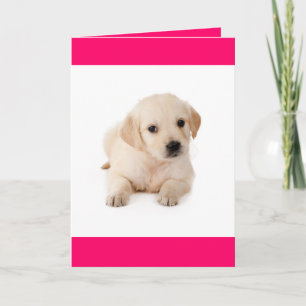 Hallo Golden Retriever Welpen-Hund-Grußkarte Karte