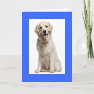 Hallo Golden Retriever Welpen-Hund-Grußkarte Karte