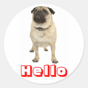 Hallo Gruß Mops Welpen Hund Aufkleber