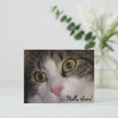 Hallo! Grußkarte! Postkarte (Stehend Vorderseite)