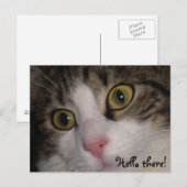 Hallo! Grußkarte! Postkarte (Vorne/Hinten)