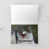 Hallo? Hallo? Hallo! (Katzen-) Karten (Innenseite)